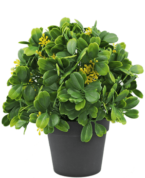 Plante artificielle verte/blanche 21 cm UV