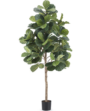 Plante de tabac artificiel Ficus Lyrate 180 cm