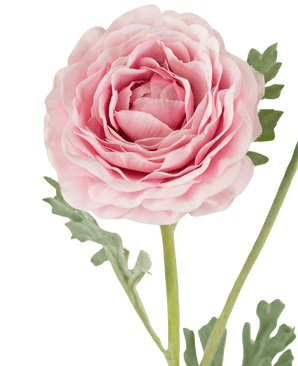 Renoncule artificielle Real Touch Rose60cm