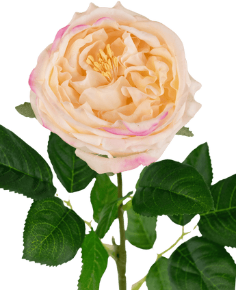 Rose artificielle de jardin "Anniken" Real Touch Pêche 72cm