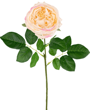 Rose artificielle de jardin "Anniken" Real Touch Pêche 72cm