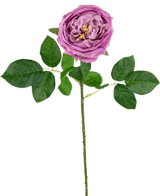 Rose artificielle de jardin "Anniken" Real Touch Violet72cm