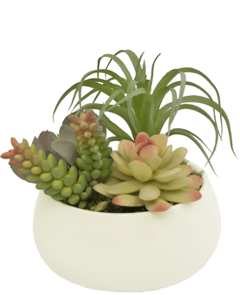 Succulentes artificielles de 14 cm dans un pot ornemental