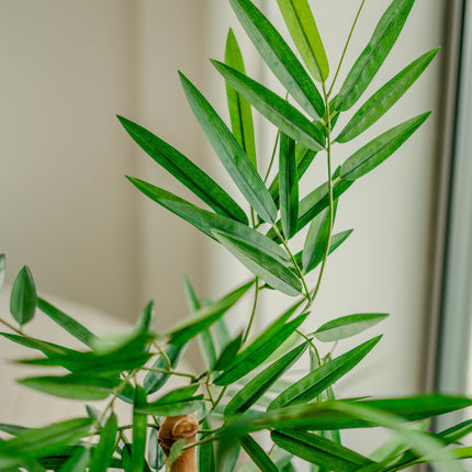 Plante artificielle Bambou Buddha 120 cm