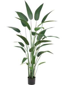 Plante artificielle Heliconia 180 cm
