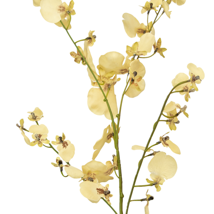 Branche artificielle Orchidée beige 80 cm