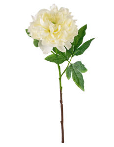 Fleur artificielle Pivoine 61 cm blanc