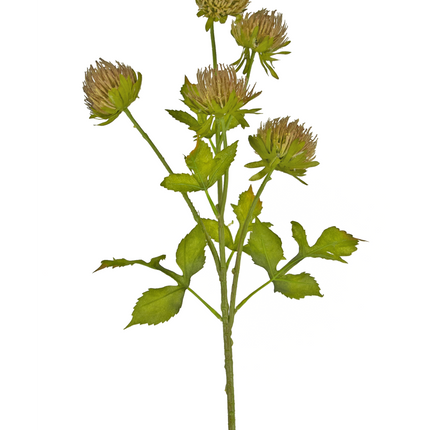 Fleur artificielle Chardon 66 cm marron