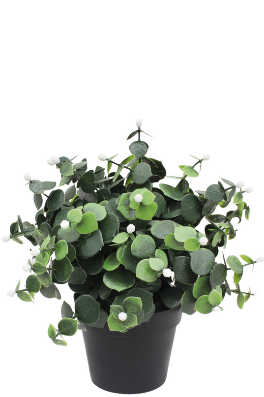 Plante artificielle Eucalyptus blanc en pot 22 cm UV