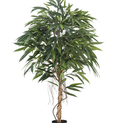 Plante artificielle Longifolia Royale 150 cm