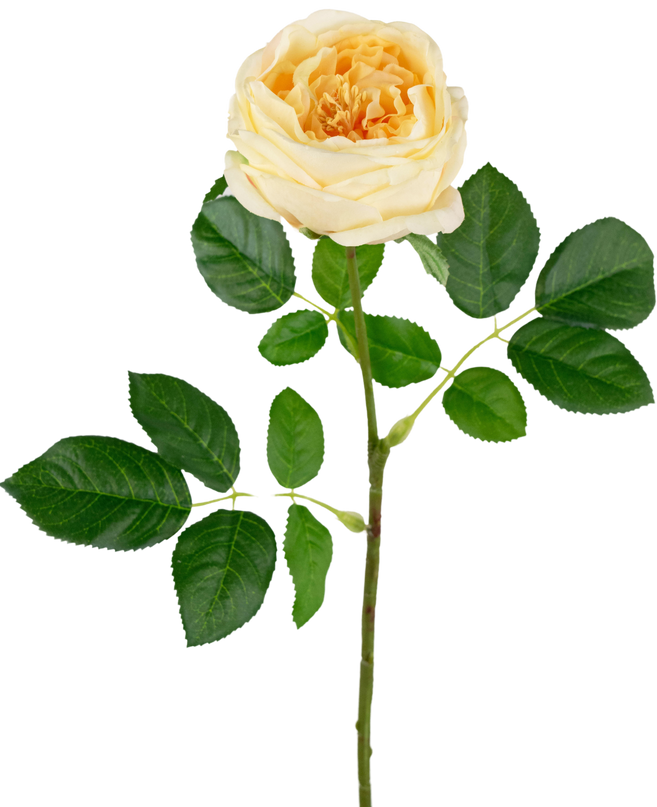 Rose de jardin artificielle "Anniken" Real Touch jaune 72cm