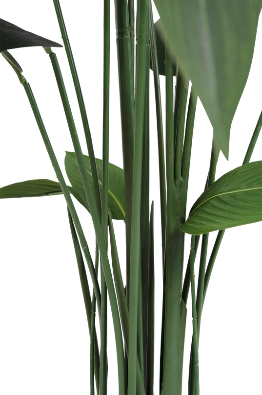 Plante artificielle Heliconia 170 cm