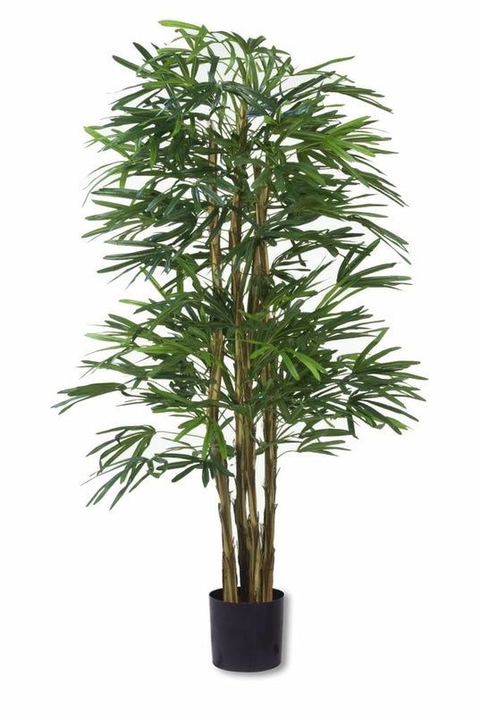 Plante artificielle Lady Palm 150 cm ignifugée
