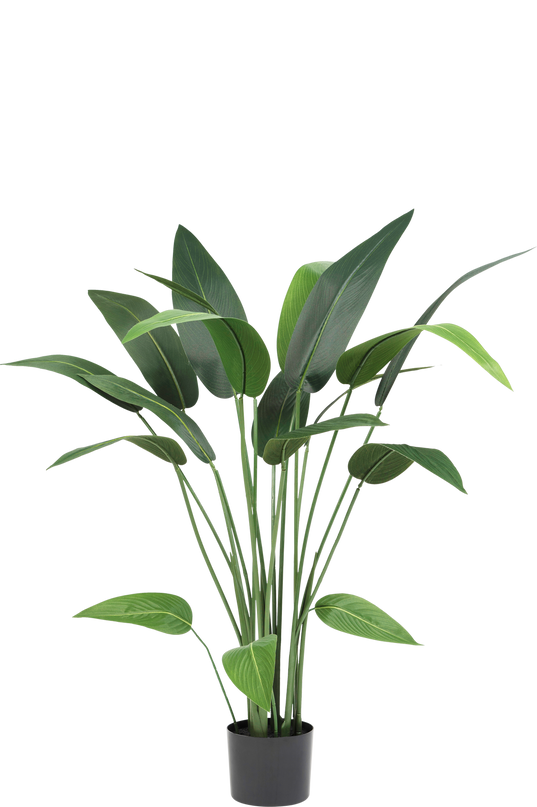 Plante artificielle Heliconia 110 cm