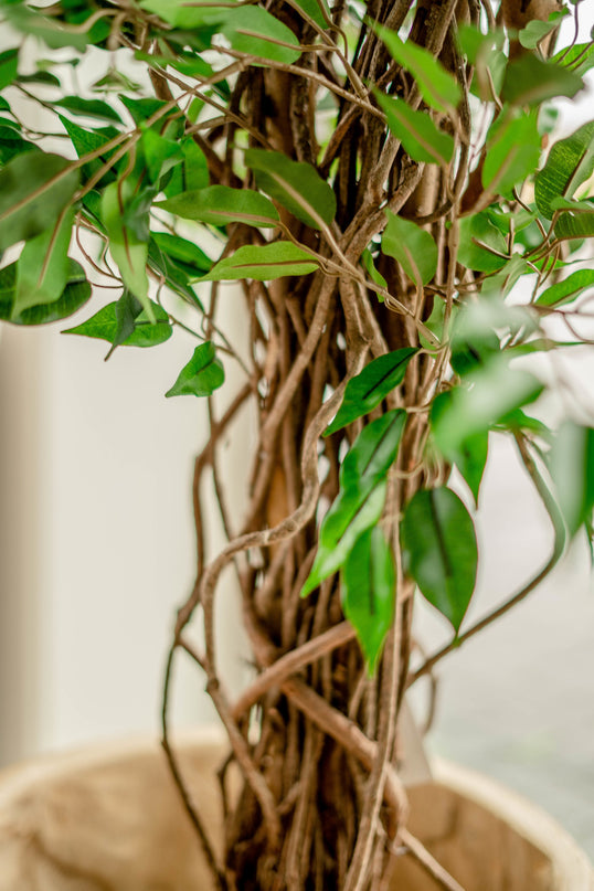 Plante artificielle Ficus Liana 180 cm