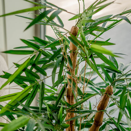 Plante artificielle Bambou Buddha 120 cm