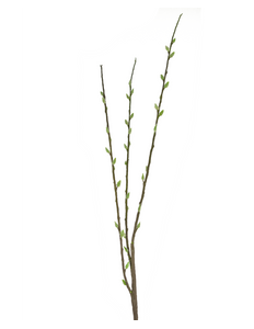 Fleur artificielle Salix willow 70 cm