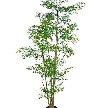 Plante artificielle Ruscus 210 cm