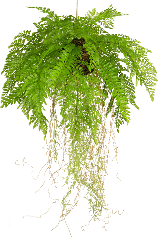 Plante artificielle tombante Fougère avec racines d35 cm avec système de suspension