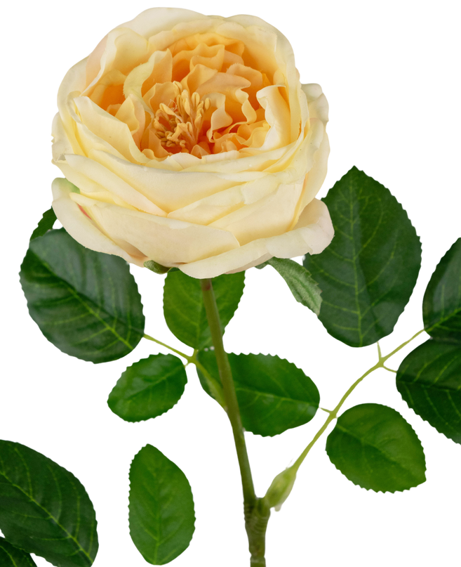 Rose de jardin artificielle "Anniken" Real Touch jaune 72cm