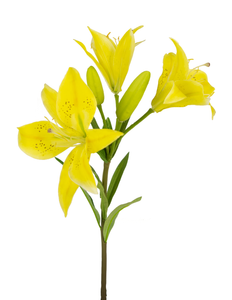Fleur artificielle Lys asiatique 66 cm jaune