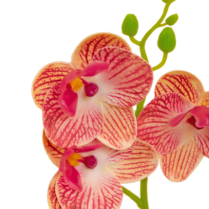 Orchidée artificielle 28 cm fuchsia en pot