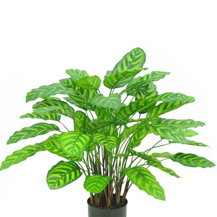 Plante artificielle Calathea Makoyana Deluxe 75 cm