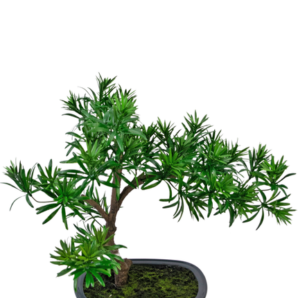 Plante artificielle Bonsai Podocarpus 40 cm