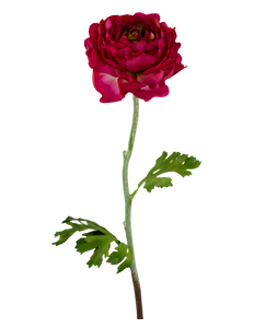 Fleur artificielle Ranunculus 51 cm rose foncé