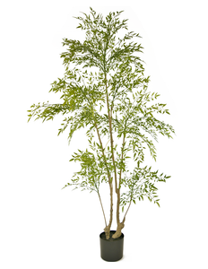 Plante artificielle Ruscus 180 cm