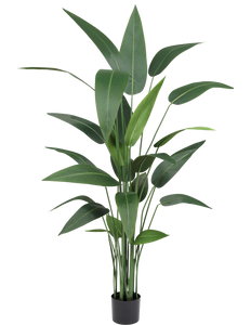 Plante artificielle Heliconia 170 cm