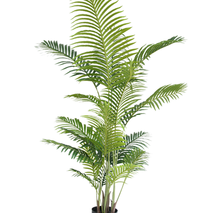 Plante artificielle Phoenix 190 cm