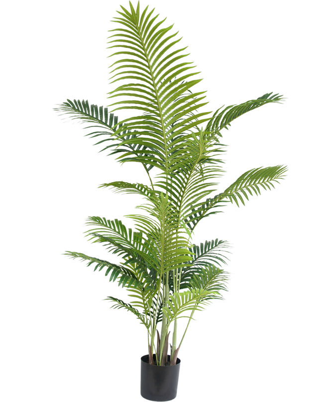 Plante artificielle Phoenix 190 cm