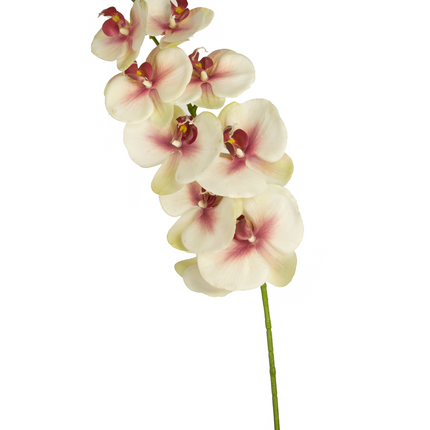 Orchidée artificielle Real Touch Deluxe 105 cm rose/blanc
