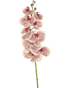 Orchidée artificielle Real Touch Deluxe 105 cm fuchsia/blanc