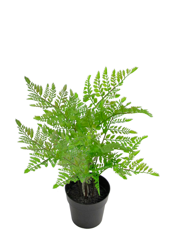 Plante artificielle Fougère 35 cm