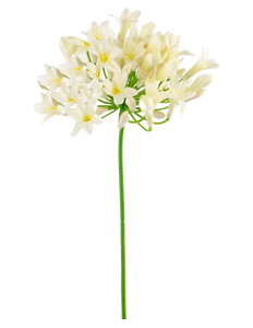 Fleur artificielle Agapanthe blanc 75 cm