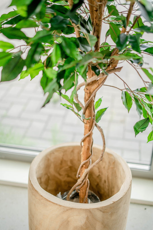 Plante artificielle Ficus Green 150 cm