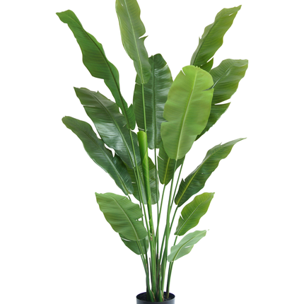 Plante artificielle Strelitzia Nicolai Deluxe 185 cm