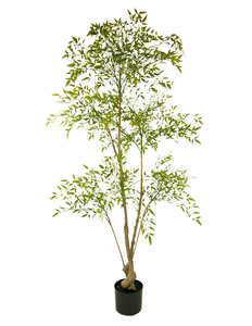 Plante artificielle Ruscus 150 cm