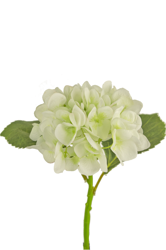 Hortensia artificiel 33 cm blanc