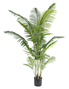 Plante artificielle Phoenix 210 cm