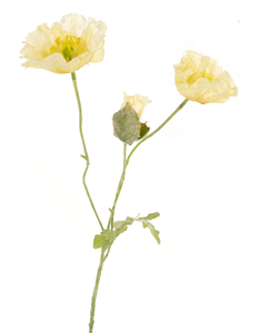 Fleur artificielle Coquelicot 73 cm crème