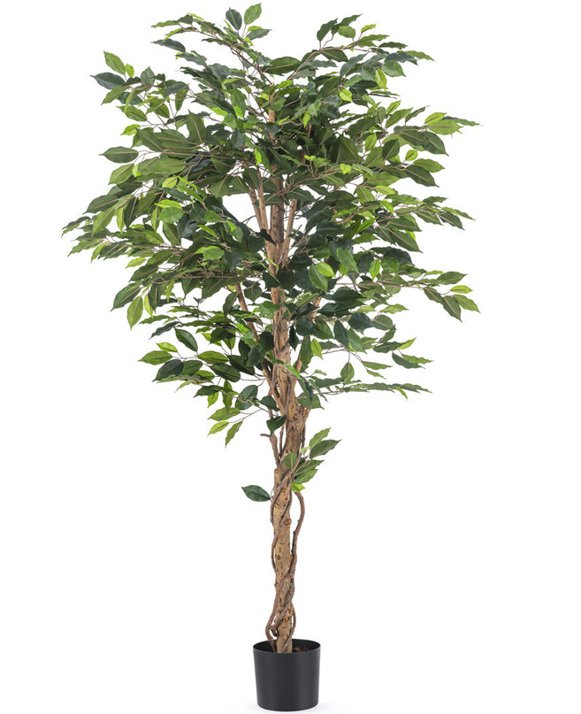 Plante artificielle Ficus 180 cm ignifugée