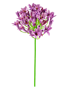 Fleur artificielle Agapanthe violet 75 cm