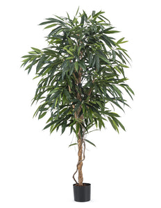 Plante artificielle Longifolia Royale 180 cm