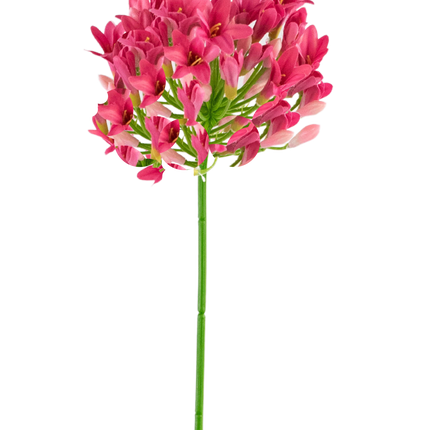 Fleur artificielle Agapanthe rose 75 cm