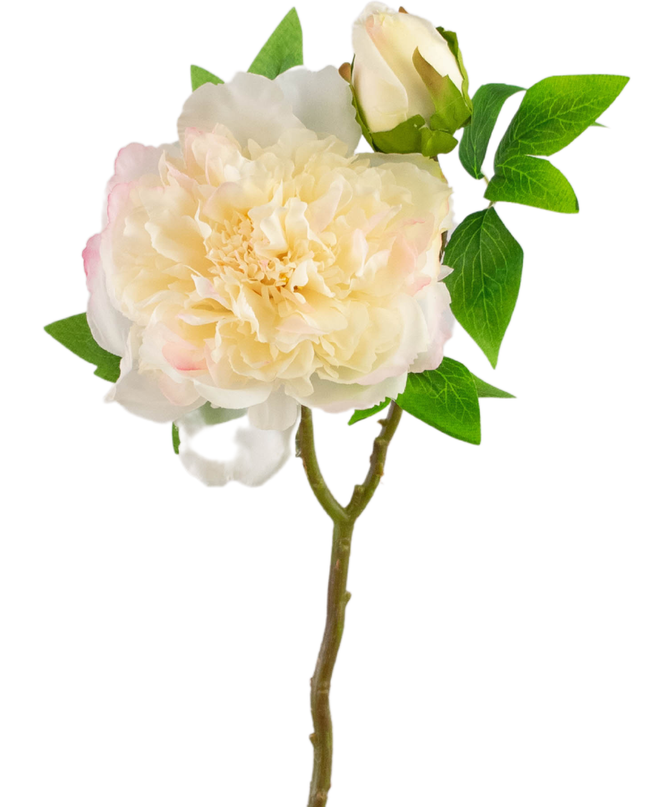 Fleur artificielle Pivoine 50 cm blanc