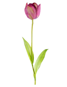 Fleur artificielle Tulipe française 60 cm violet
